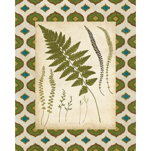 Moroccan Ferns II Black Modern Wood Framed Art Print with Double Matting by Vision Studio