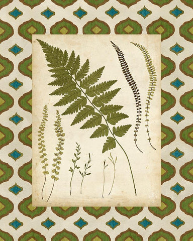Moroccan Ferns II Black Ornate Wood Framed Art Print with Double Matting by Vision Studio