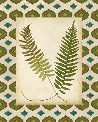 Moroccan Ferns III Black Ornate Wood Framed Art Print with Double Matting by Vision Studio