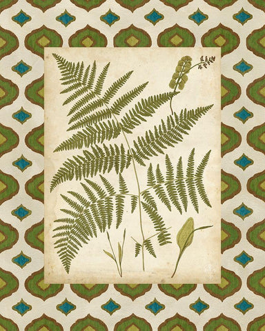 Moroccan Ferns IV White Modern Wood Framed Art Print with Double Matting by Vision Studio