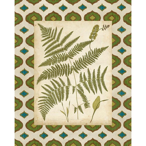 Moroccan Ferns IV White Modern Wood Framed Art Print by Vision Studio