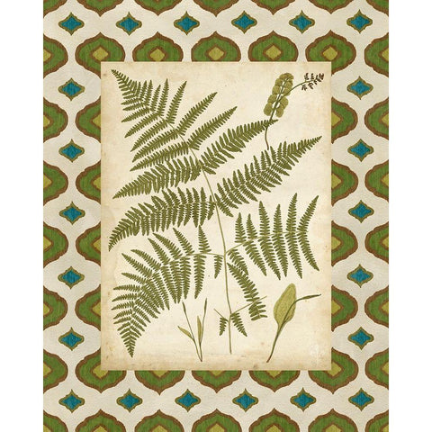 Moroccan Ferns IV Black Modern Wood Framed Art Print with Double Matting by Vision Studio