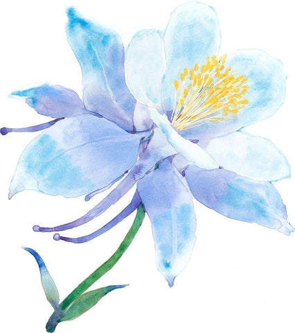 Columbine Bloom I White Modern Wood Framed Art Print with Double Matting by Tim OToole