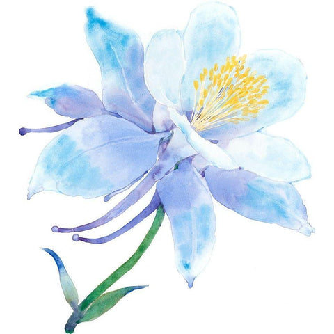 Columbine Bloom I Black Modern Wood Framed Art Print by Tim OToole