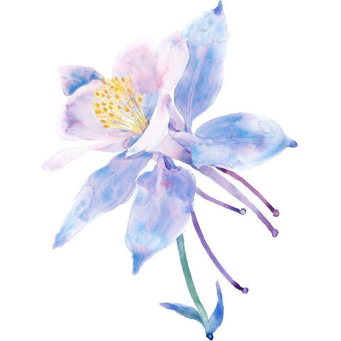 Columbine Bloom II Gold Ornate Wood Framed Art Print with Double Matting by Tim OToole