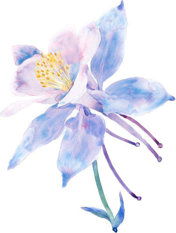 Columbine Bloom II Black Ornate Wood Framed Art Print with Double Matting by Tim OToole