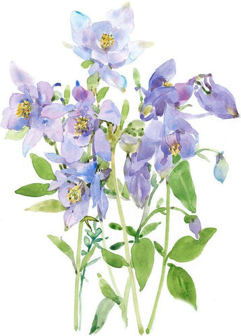Columbine Spray I Black Ornate Wood Framed Art Print with Double Matting by Tim OToole