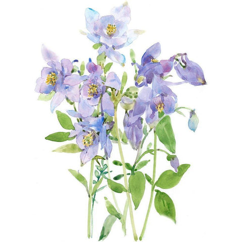 Columbine Spray I Black Modern Wood Framed Art Print by Tim OToole