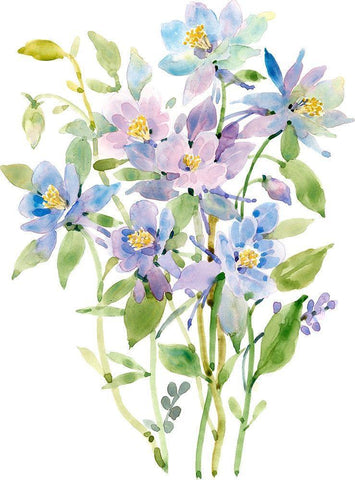 Columbine Spray II White Modern Wood Framed Art Print with Double Matting by Tim OToole