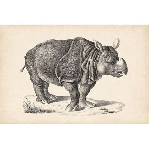 Brodtmann Rhinoceros White Modern Wood Framed Art Print by Brodtmann