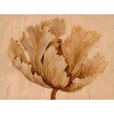 Sepia Tulip on Birch I Black Modern Wood Framed Art Print with Double Matting by OToole, Tim