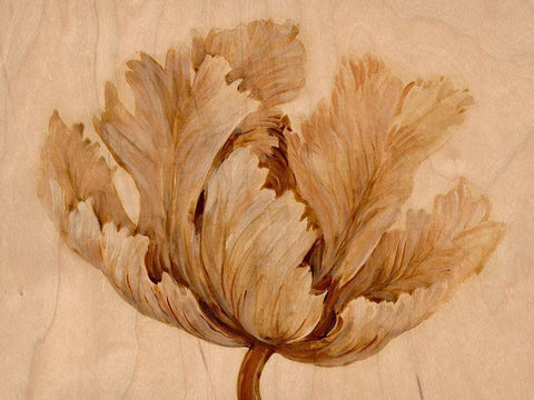 Sepia Tulip on Birch I White Modern Wood Framed Art Print with Double Matting by OToole, Tim