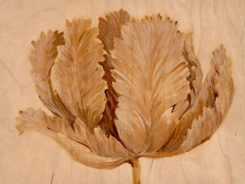 Sepia Tulip on Birch II Black Ornate Wood Framed Art Print with Double Matting by OToole, Tim