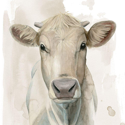 Prairie Bovine I White Modern Wood Framed Art Print with Double Matting by Popp, Grace