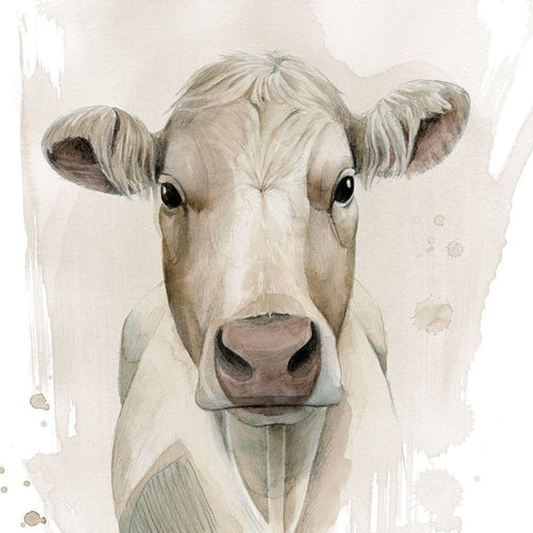 Prairie Bovine II Black Modern Wood Framed Art Print with Double Matting by Popp, Grace