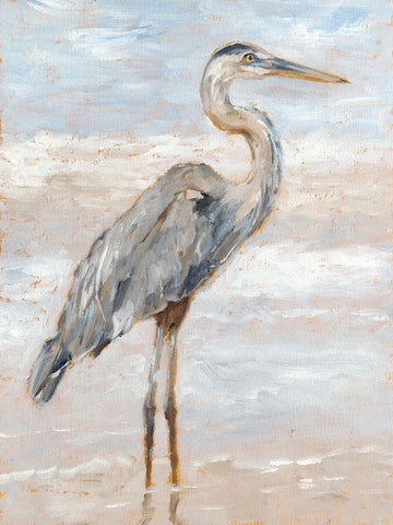 Beach Heron I Black Ornate Wood Framed Art Print with Double Matting by Harper, Ethan