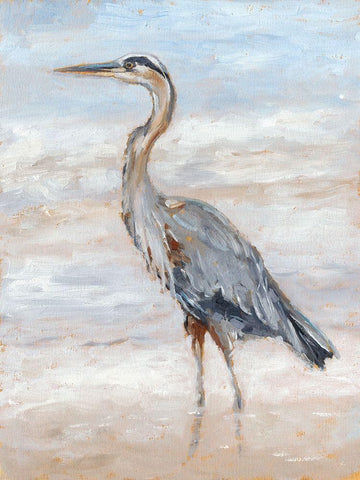 Beach Heron II White Modern Wood Framed Art Print with Double Matting by Harper, Ethan