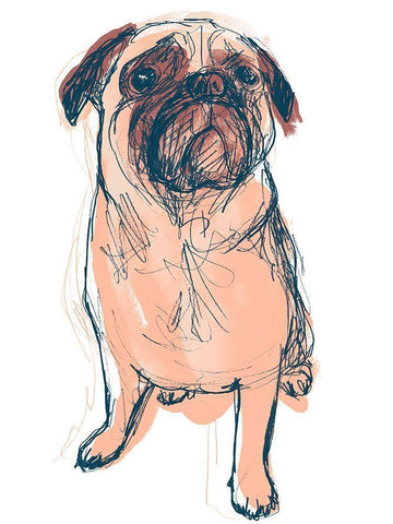 Dog Portrait--Dave White Modern Wood Framed Art Print with Double Matting by Vess, June Erica