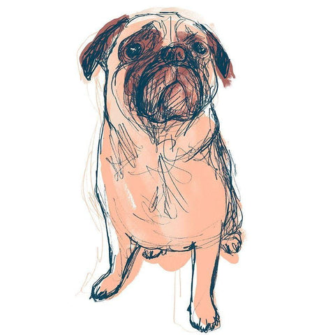 Dog Portrait--Dave Black Modern Wood Framed Art Print with Double Matting by Vess, June Erica