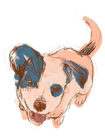 Dog Portrait--Maisie Black Ornate Wood Framed Art Print with Double Matting by Vess, June Erica