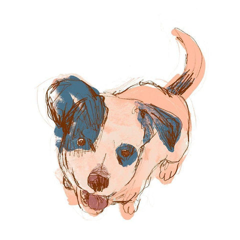 Dog Portrait--Maisie Black Modern Wood Framed Art Print by Vess, June Erica