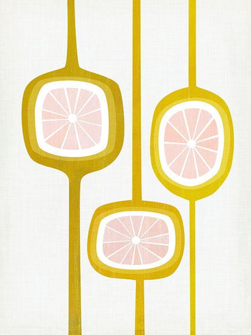 Paloma I Black Ornate Wood Framed Art Print with Double Matting by Borges, Victoria