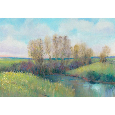 Hidden Stream II White Modern Wood Framed Art Print by OToole, Tim