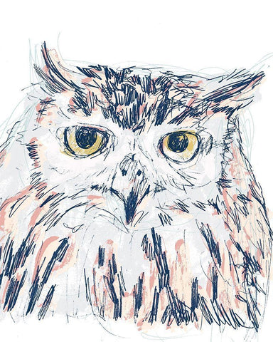 Funky Owl Portrait III White Modern Wood Framed Art Print with Double Matting by Vess, June Erica