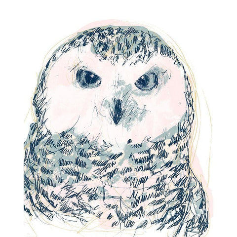 Funky Owl Portrait IV Black Modern Wood Framed Art Print by Vess, June Erica