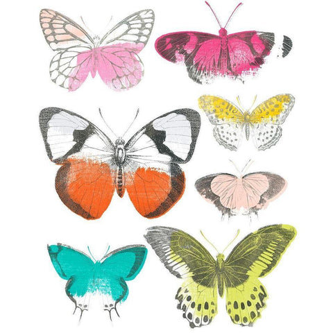 Chromatic Butterflies I Black Modern Wood Framed Art Print by Vess, June Erica