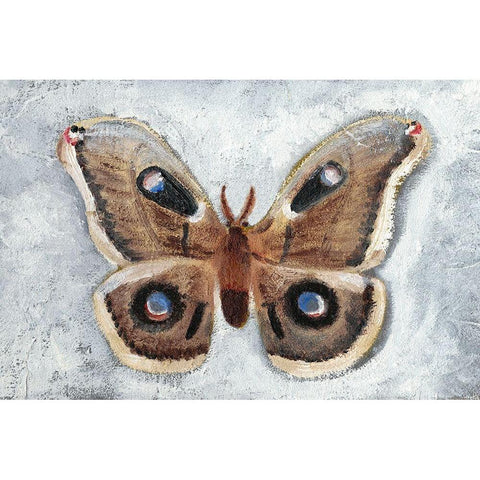 Papillon de Nuit II Gold Ornate Wood Framed Art Print with Double Matting by Ludwig, Alicia