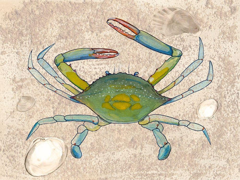 Crabulous II White Modern Wood Framed Art Print with Double Matting by Ludwig, Alicia