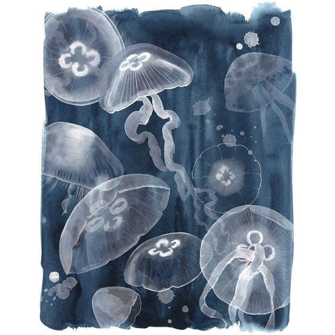 Moon Jellies I Black Modern Wood Framed Art Print with Double Matting by Popp, Grace