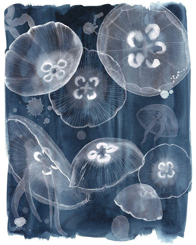 Moon Jellies II White Modern Wood Framed Art Print with Double Matting by Popp, Grace