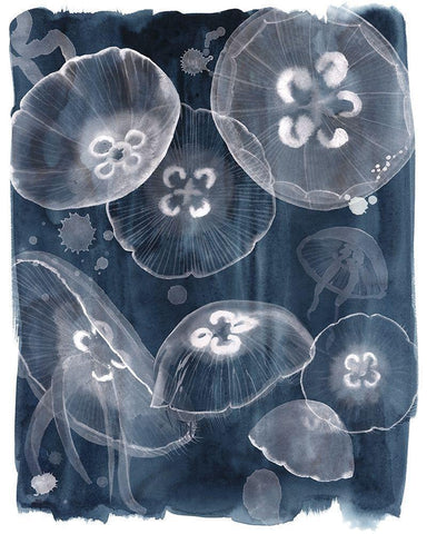 Moon Jellies II Black Ornate Wood Framed Art Print with Double Matting by Popp, Grace
