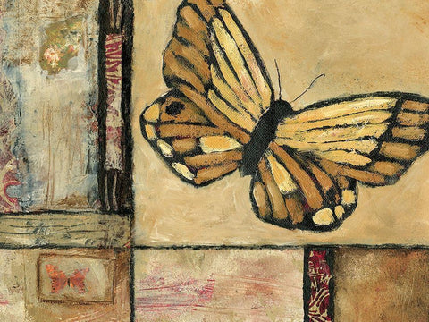 Butterfly in Border II White Modern Wood Framed Art Print with Double Matting by Bagnato, Judi