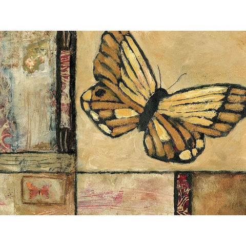 Butterfly in Border II Black Modern Wood Framed Art Print with Double Matting by Bagnato, Judi