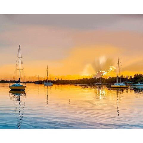 Sailing Portrait II White Modern Wood Framed Art Print by Kalina, Emily