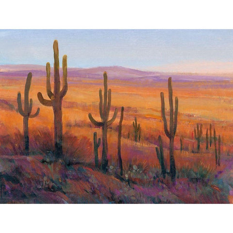 Desert Light I White Modern Wood Framed Art Print by OToole, Tim