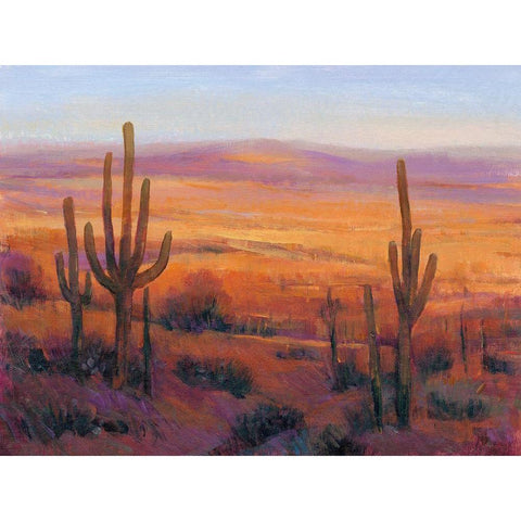 Desert Light II White Modern Wood Framed Art Print by OToole, Tim