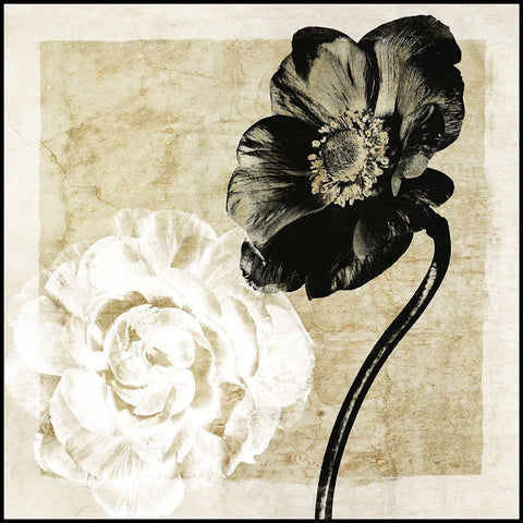 Light From Darkness I Black Modern Wood Framed Art Print by Zalewski, Christine