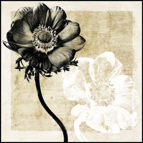 Light From Darkness II Black Modern Wood Framed Art Print by Zalewski, Christine