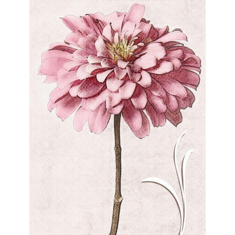 Pink Zinnia II Gold Ornate Wood Framed Art Print with Double Matting by Zalewski, Christine
