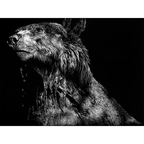 Ursa Major White Modern Wood Framed Art Print by Chapman, Julie T.