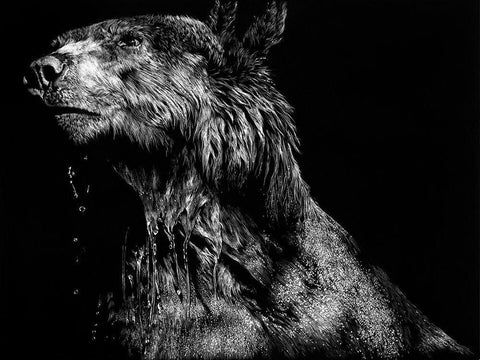 Ursa Major White Modern Wood Framed Art Print with Double Matting by Chapman, Julie T.