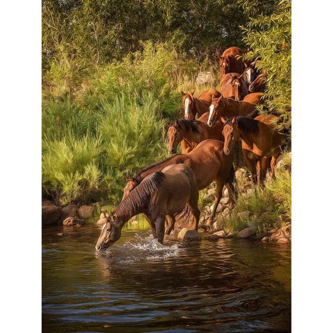 River Horses I Black Modern Wood Framed Art Print with Double Matting by PHBurchett