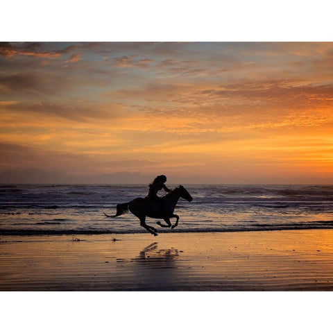 Sunkissed Horses IV White Modern Wood Framed Art Print by PHBurchett