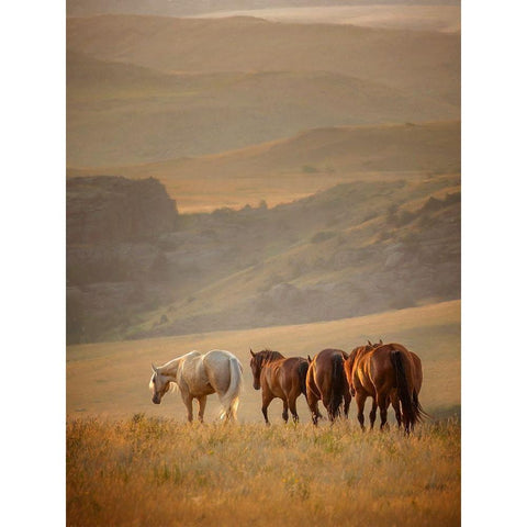 Sunkissed Horses VI Gold Ornate Wood Framed Art Print with Double Matting by PHBurchett