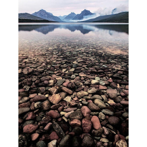 Wild I Gold Ornate Wood Framed Art Print with Double Matting by PHBurchett