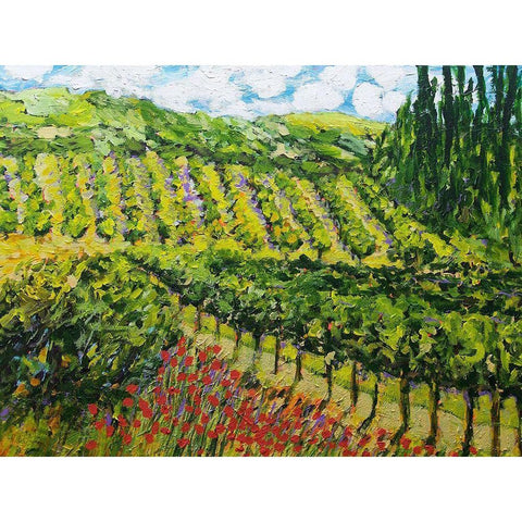 Mountain Vineyard Black Modern Wood Framed Art Print with Double Matting by Friedlander, Allan